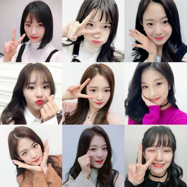 9분할 프로미스나인 | 인스티즈