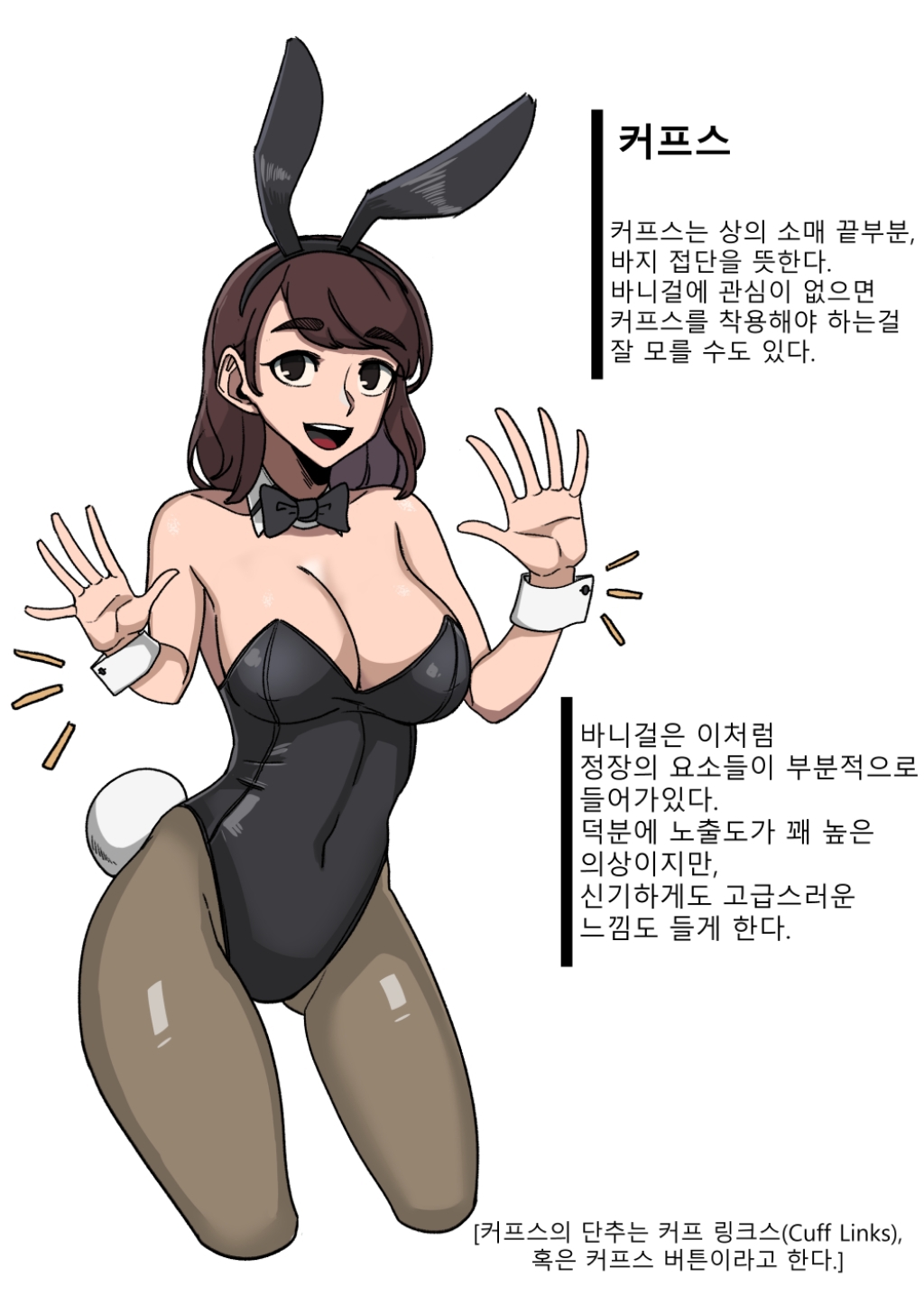 바니걸에 대해 알아보는 만화.jpg | 인스티즈