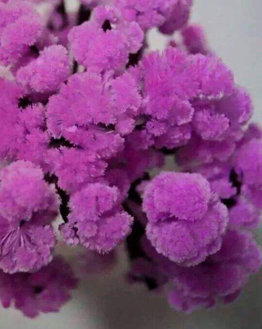 종이에서 피는 벚꽃 | 인스티즈