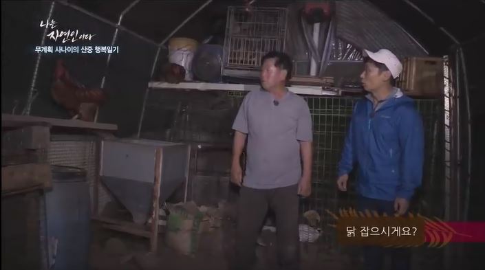 닭 잡는 자연인.jpg | 인스티즈