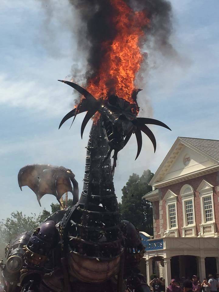 퍼레이드 대참사 | 인스티즈