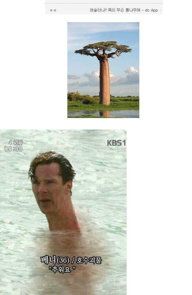 미용실에서 머리 망침 | 인스티즈