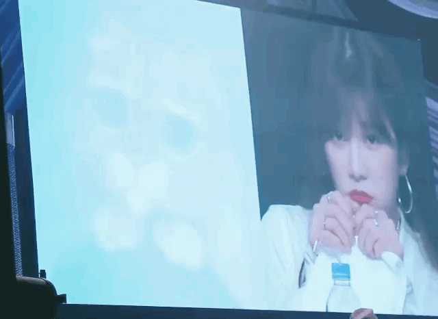 고양이 따라하는 에이핑크 초롱이.gif | 인스티즈