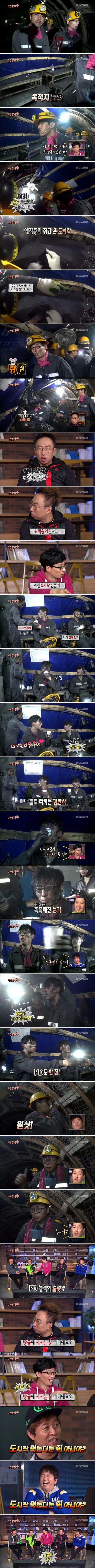 도시락먹는 쥐.jpg | 인스티즈