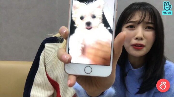 맑음이(레드벨벳 조이)와 햇님이 | 인스티즈