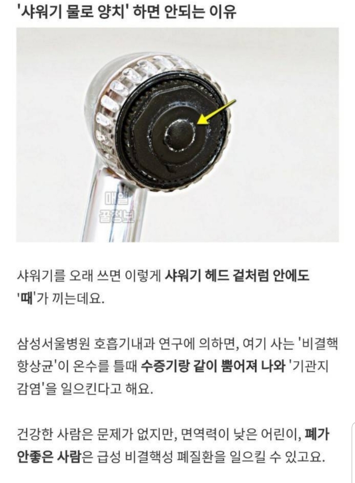 샤워기로 입을 헹구면 안되는 이유 | 인스티즈