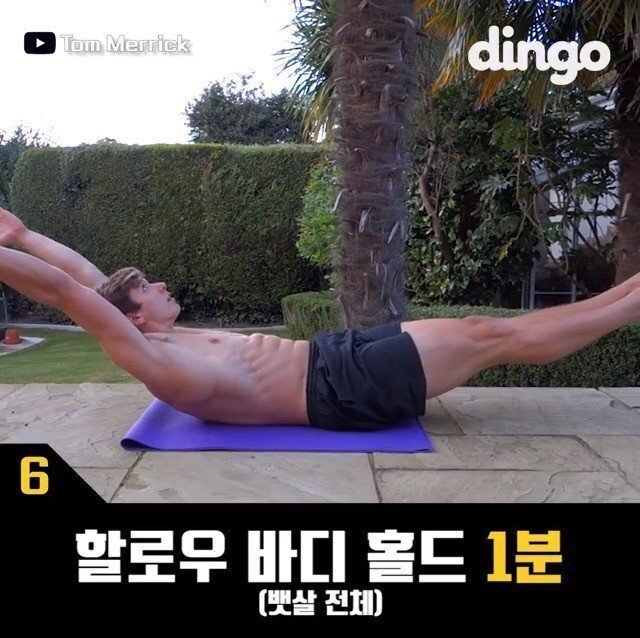 뱃살빼기 운동법 | 인스티즈