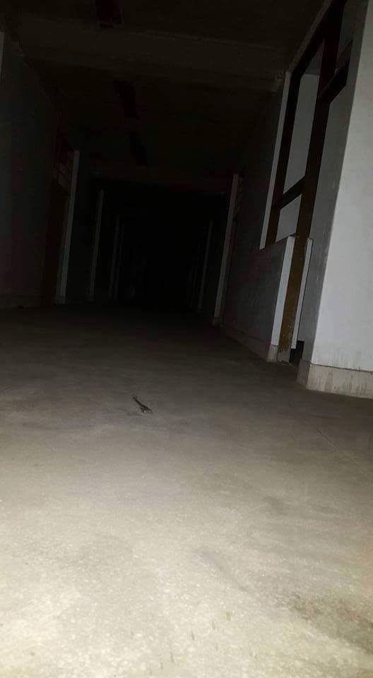 광주에 있다는 폐병원 | 인스티즈