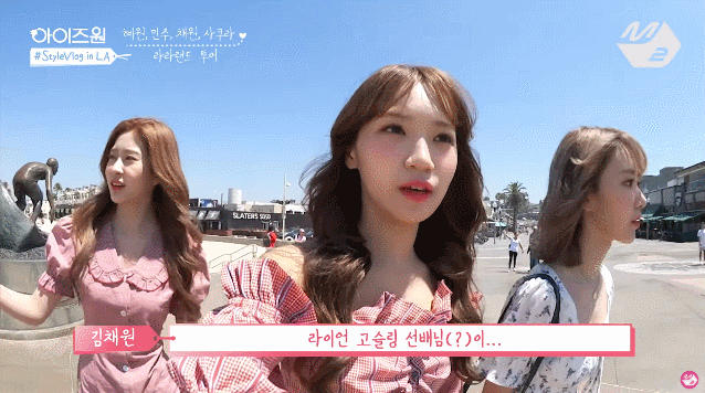 아이즈원) 라이언 고슬링 후배 김채원 | 인스티즈