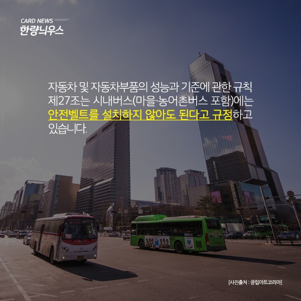 인명사고 많은 시내버스 안전벨트 없는 이유 궁금하죠? | 인스티즈