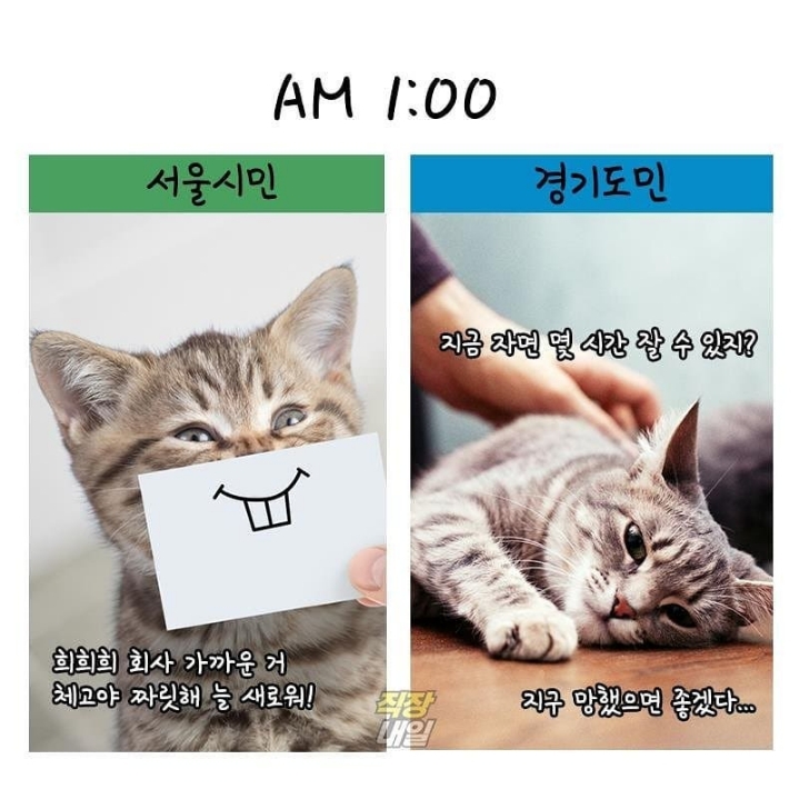 서울시민 vs 경기도민 | 인스티즈