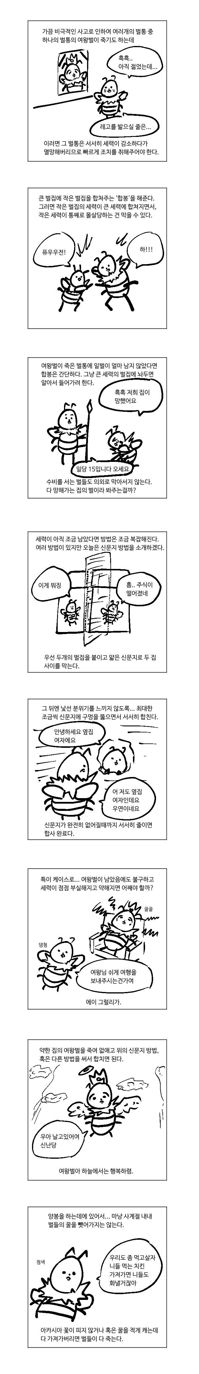 신나는 양봉이야기 만화 | 인스티즈