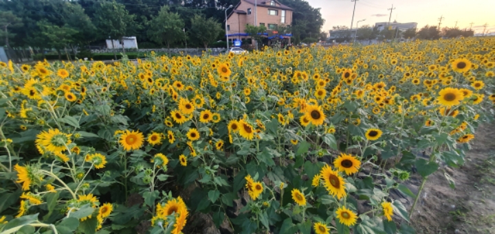 갤럭시 10이 보는 제천 | 인스티즈