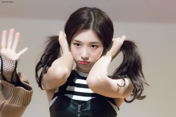 양갈래 머리한 아이오아이 멤버 모음 .jpg | 인스티즈