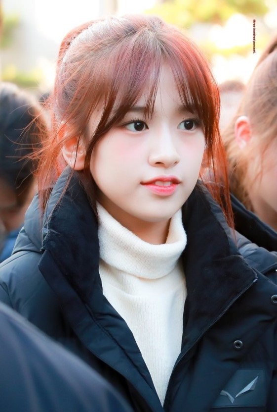 아이즈원 댕댕이.jpgif | 인스티즈