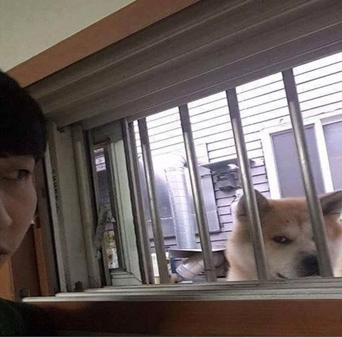 반지하에 사는데 수상한 녀석이 쳐다본다.jpg | 인스티즈