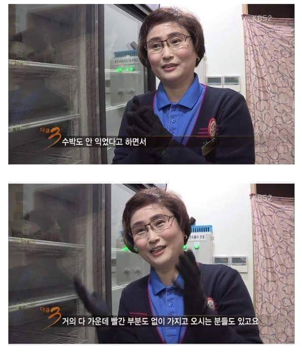 고객센터에서 일하면 보게 되는 진상 손놈들 | 인스티즈