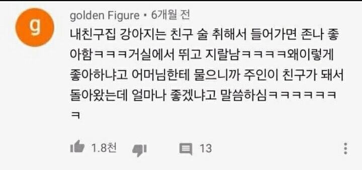 주인이 술 취해서 들어오면 좋아하는 강아지 | 인스티즈