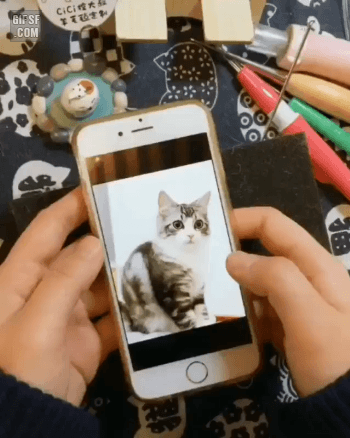 금손이 만든 고양이.gif | 인스티즈