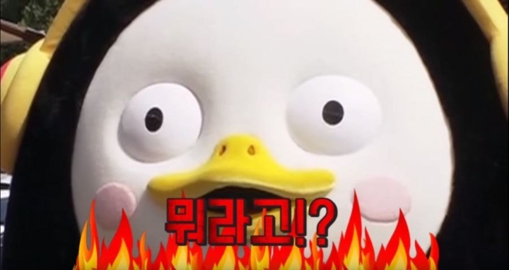  펭수 짤 모음 | 인스티즈