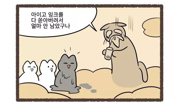 고양이의 털색이 정해지는 방법 | 인스티즈