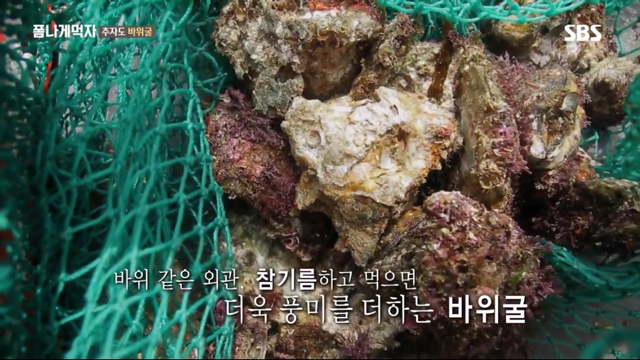 추자도 바위굴 먹는 트와이스 정연X다현.jpg | 인스티즈