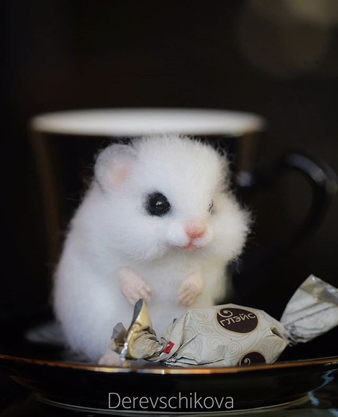 러시아 유명 동물 인형 제작자.jpg | 인스티즈