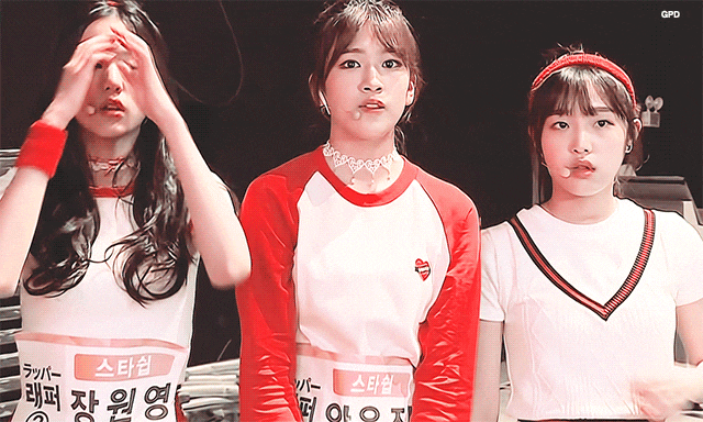 아이즈원) 아이즈원 비글3마리 | 인스티즈