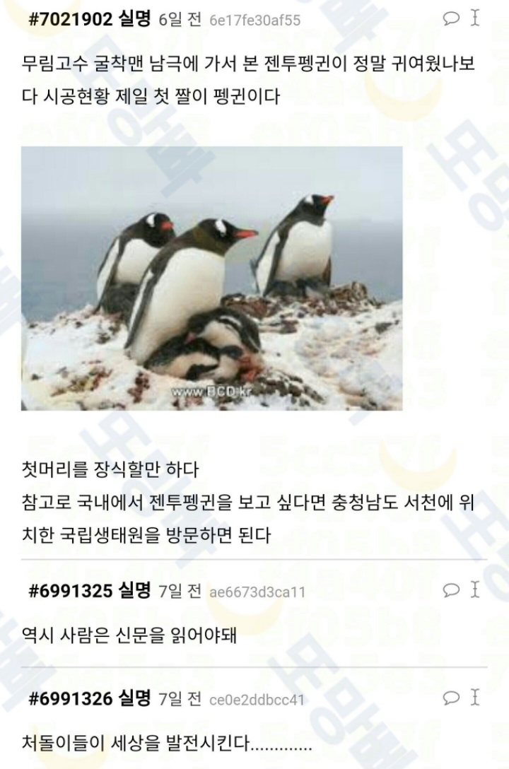 가슴 두근거리는 남극세종기지 건설 일화 | 인스티즈