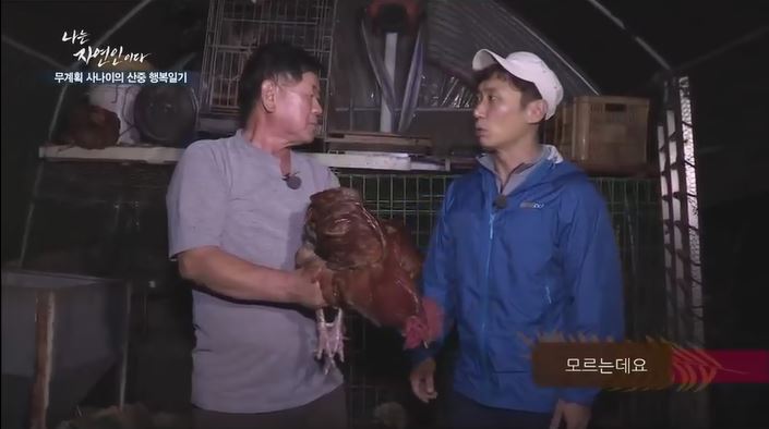 닭 잡는 자연인.jpg | 인스티즈