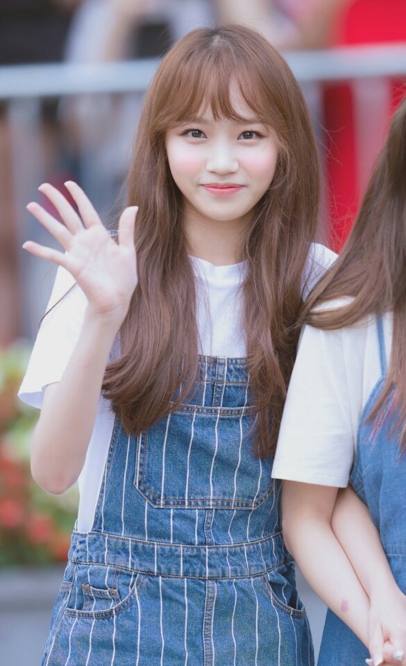 아이즈원) 화요일 아침 채원이 보고가세여 | 인스티즈