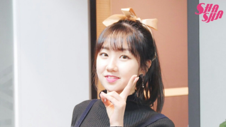 본인이 좋아하는 아이돌들로 9인조 걸그룹을 꾸린다면? | 인스티즈