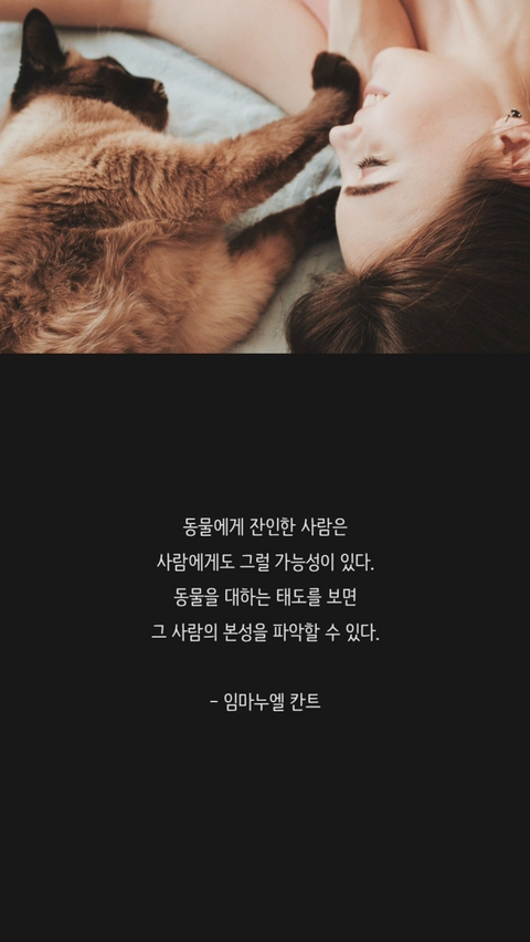 반려견에 관한 명언 | 인스티즈
