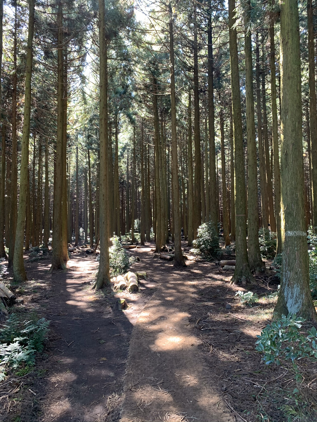 제주도 여행 마지막 날.. | 인스티즈
