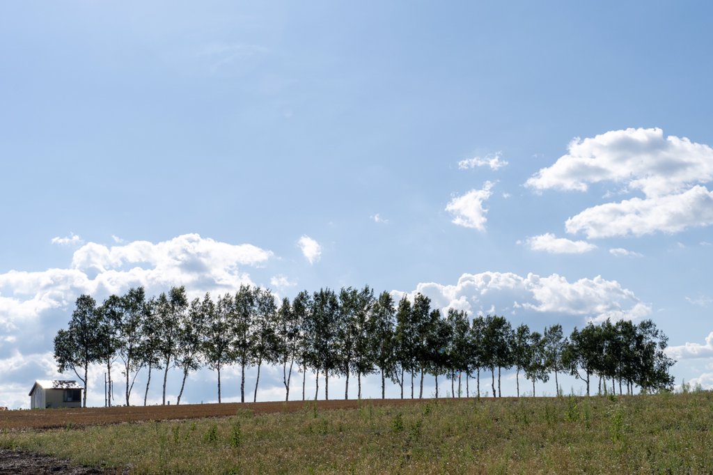 2018년 찍었던 사진 중 맘에 드는 것들 | 인스티즈