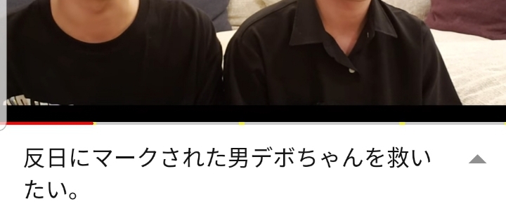 반일을 지적하는 유투버 | 인스티즈