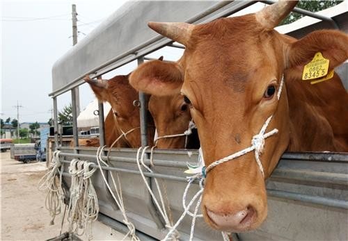1등급 맞았닥ㄱㅋㅋㅋㅋ | 인스티즈