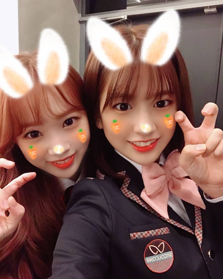 크리스마스라서 아이즈원 | 인스티즈