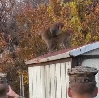 사생활 존중 좀.gif | 인스티즈