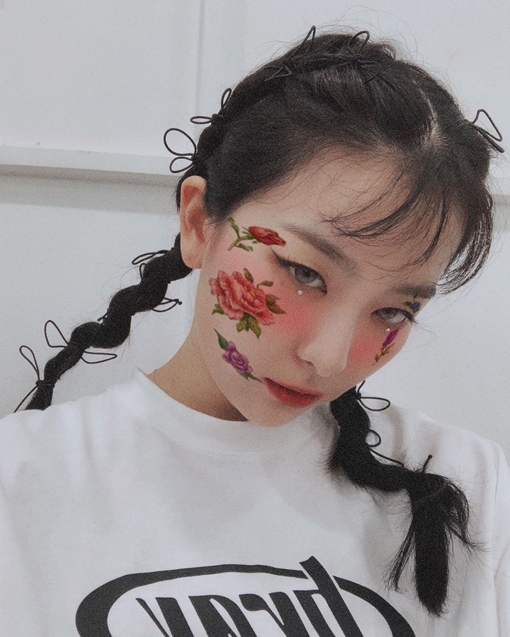 자기 자신이 생각한 슬기와 팬들의 생각한 슬기의 차이ㅋㅋㅋ.jpgif | 인스티즈