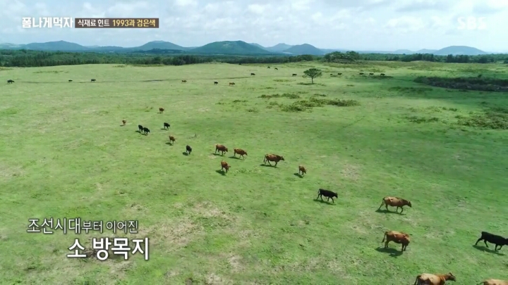 일본이 수탈해간 우리의 흑우.jpg | 인스티즈