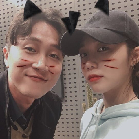 고양이 에이핑크 정은지.jpg | 인스티즈