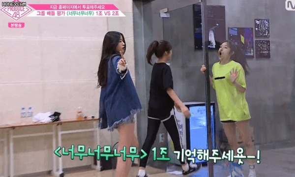 아이즈원) 아이즈원 비글3마리 | 인스티즈