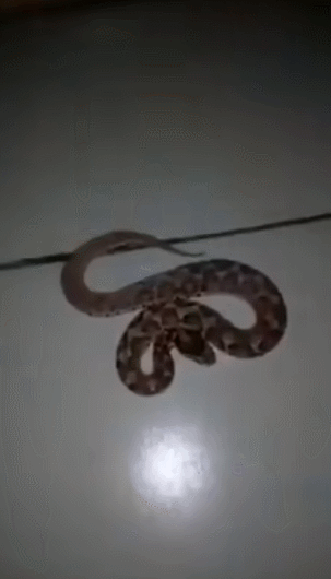 먹는걸로 장난치면 안되는 이유 (혐오주의) | 인스티즈