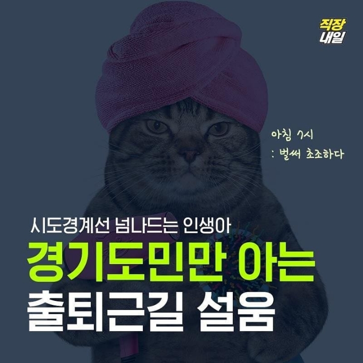 서울시민 vs 경기도민 | 인스티즈