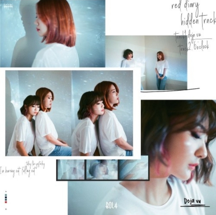 대중픽의 끝을 보여주는 가수.jpg | 인스티즈