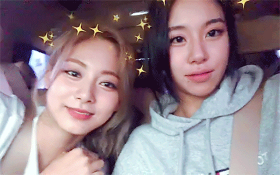 결혼하자는 댓글에 단호박스러운 쯔위 ㅋㅋㅋㅋ | 인스티즈