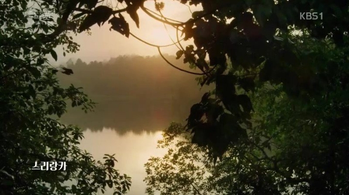 세상에서 가장 작은 고양이.jpgif | 인스티즈