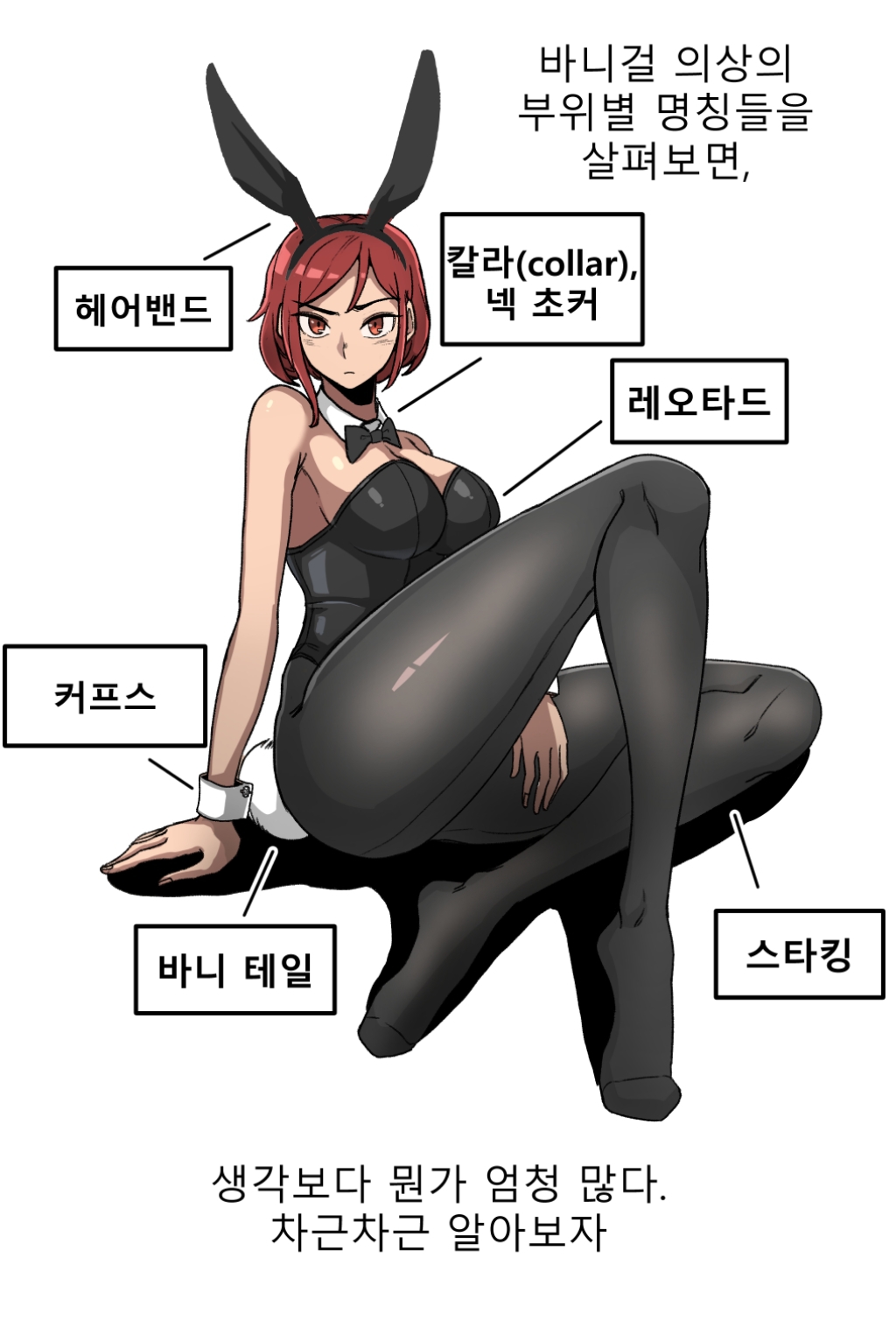 바니걸에 대해 알아보는 만화.jpg | 인스티즈