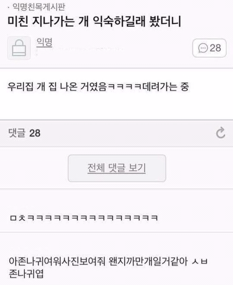 어디서 많이본 강아지가 지나가길레 | 인스티즈